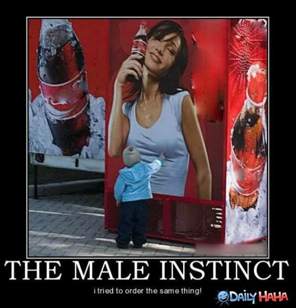 The Male Instinct